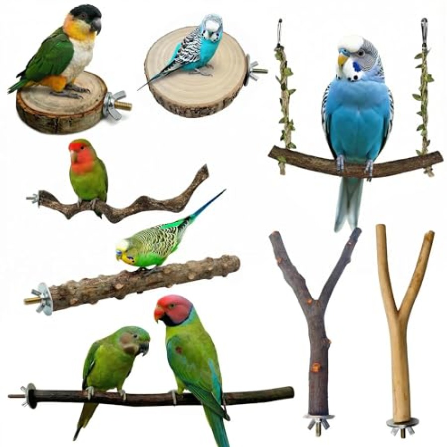 Health & Wellness Expo 2025 - 8PCS natural wood bird perches for