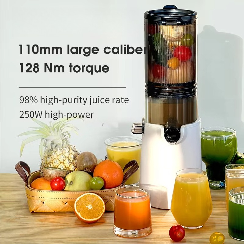 Cold Press Juicer - Hot Sale Big Mouth Cold Press