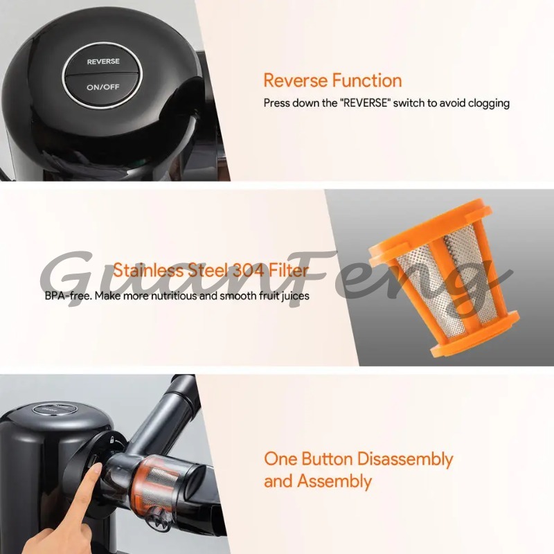 Cold Press Slow Juicer Electri - đánh giá và giá Cold Press Juicer