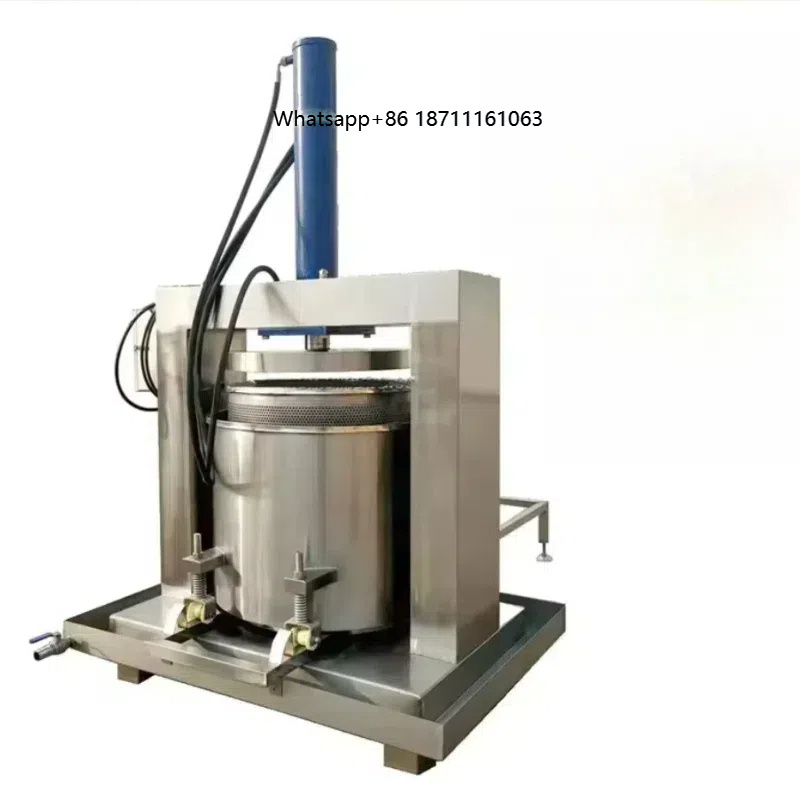 Industrial Vertical 380V Hydra - đánh giá và giá Cold Press Juicer