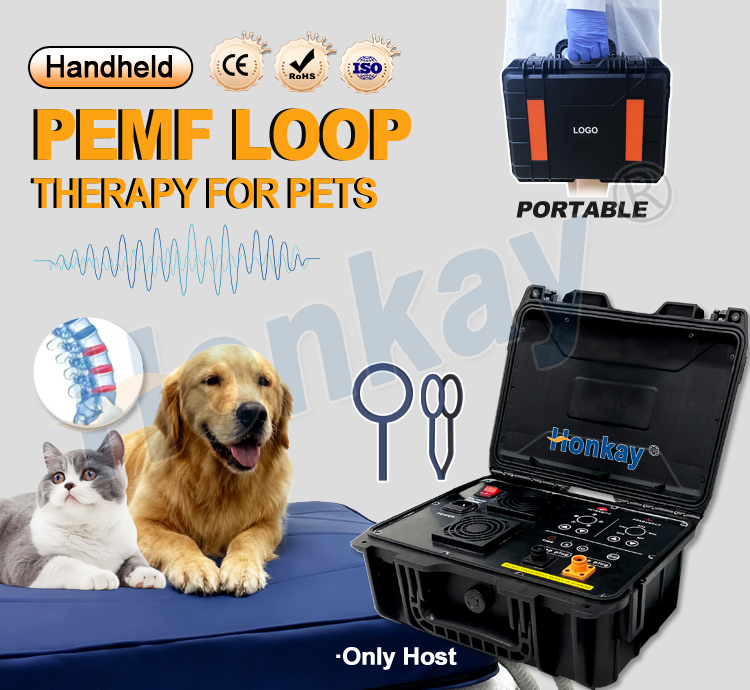 Personal Pet Care PEMF Device  - đánh giá và giá Health With Wellness