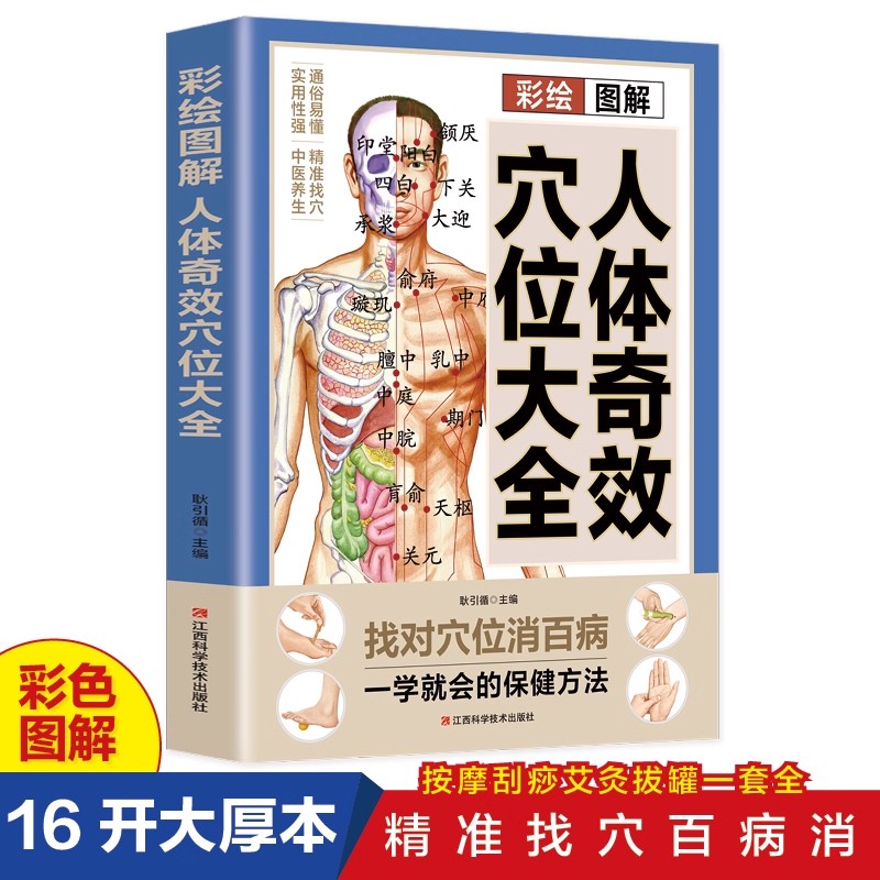 Complete Guide to Acupoint Mas - đánh giá và giá Health & Wellness Expo 2025