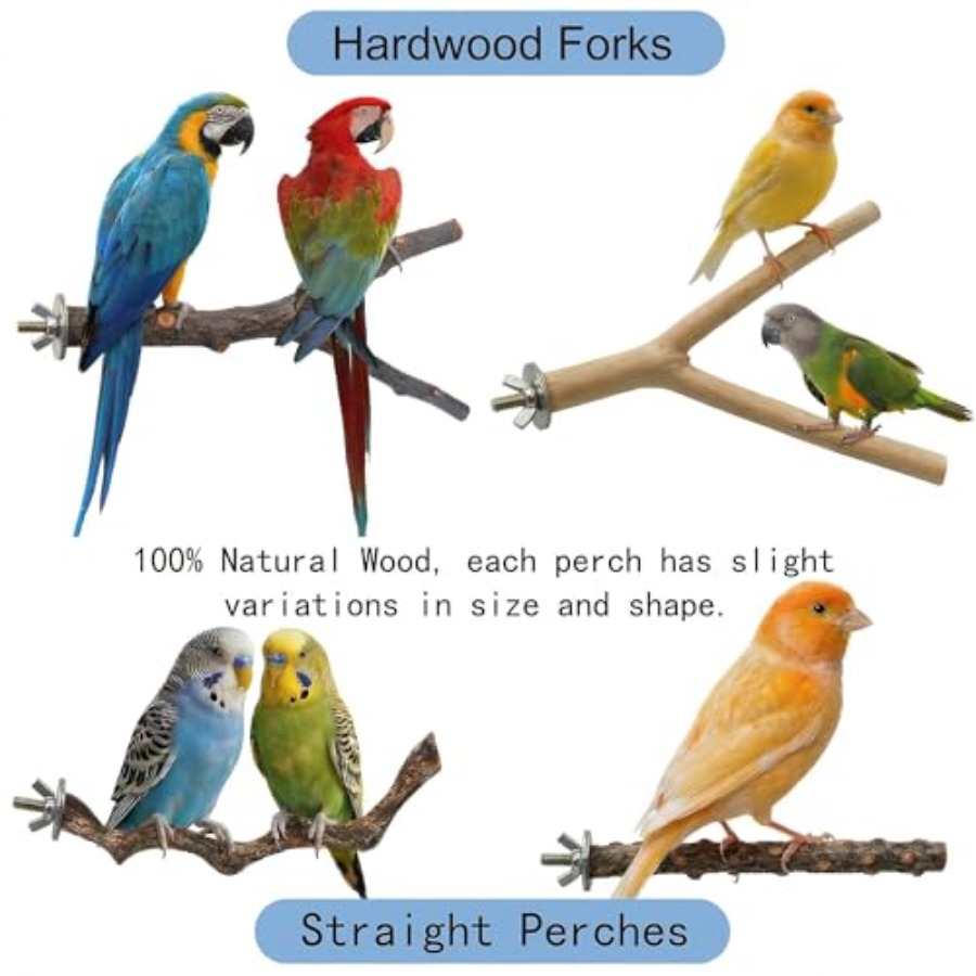 8PCS natural wood bird perches - đánh giá và giá Health & Wellness Expo 2025
