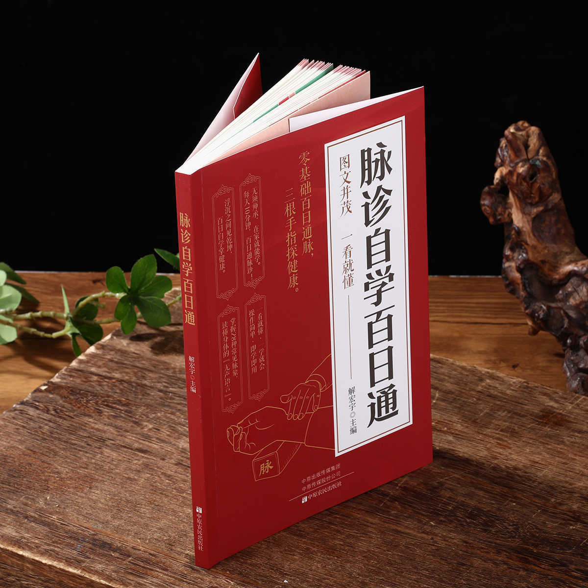 Pulse Diagnosis Self Study Hun - đánh giá và giá Health & Wellness Expo 2025